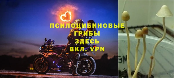 кокс Арсеньев