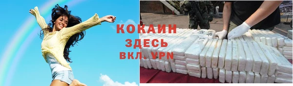 кокс Арсеньев
