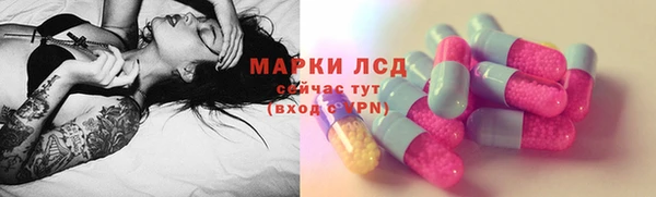 apvp Аркадак