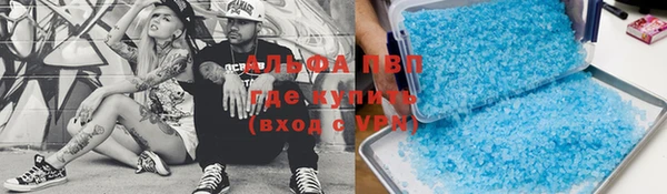 apvp Аркадак
