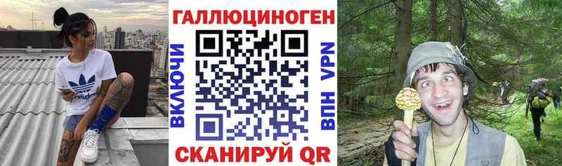 Псилоцибиновые грибы Psilocybe  Армянск 